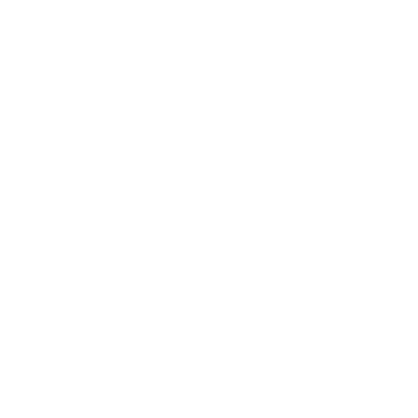 Brustor excellence dealer 